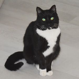 Meet your Posher, Audrey